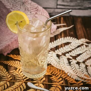 Classic Bourbon Highball Recipe: Refreshing Whiskey Cocktail Guide 12 Gorgeous Bourbon Highball cocktail, made with Bourbon and Ginger beer. Served with a lemon slice.