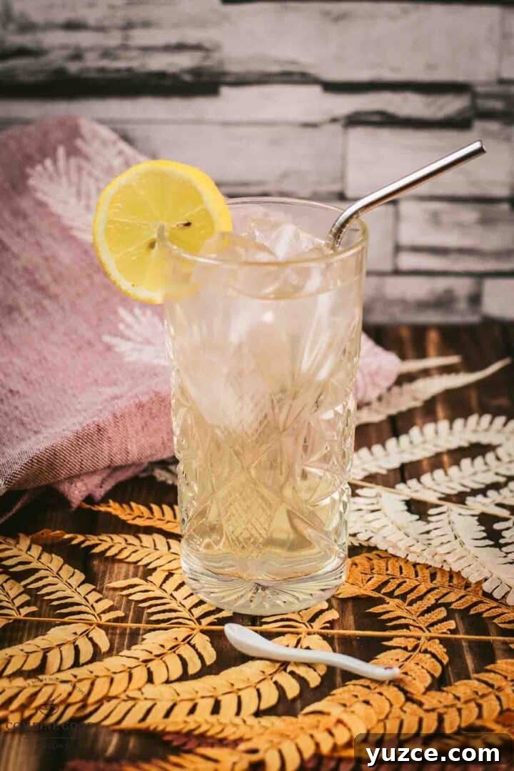 Classic Bourbon Highball Recipe: Refreshing Whiskey Cocktail Guide 8 Gorgeous Bourbon Highball cocktail, made with Bourbon and Ginger beer. Served with a lemon slice.