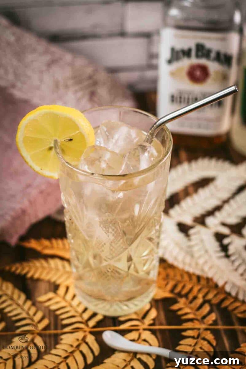 Classic Bourbon Highball Recipe: Refreshing Whiskey Cocktail Guide 10 Gorgeous Bourbon Highball cocktail, made with Bourbon and Ginger beer. Served with a lemon slice.