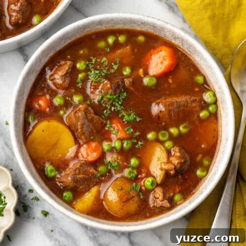 A bowl of beef stew sitting on a marble counter.