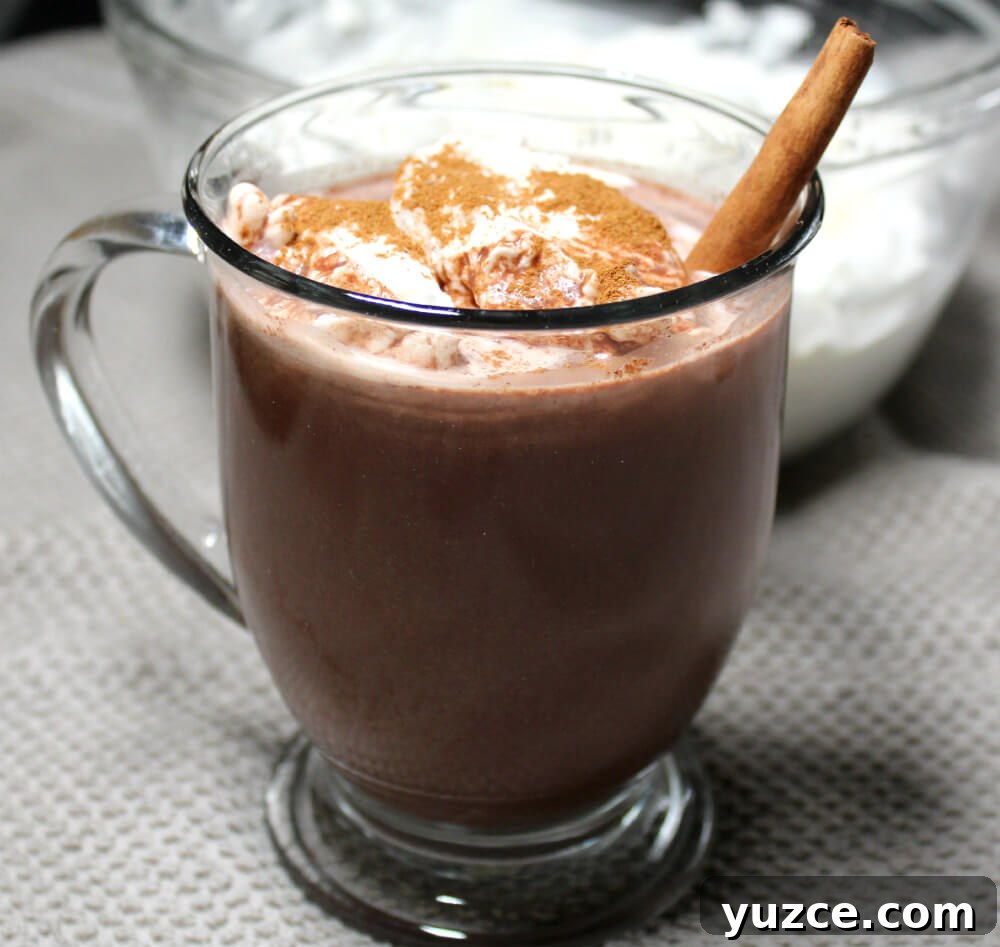 Keto Gingerbread Hot Chocolate Recipe for Cozy Low-Carb Nights 7 Gingerbread Keto Hot Chocolate6