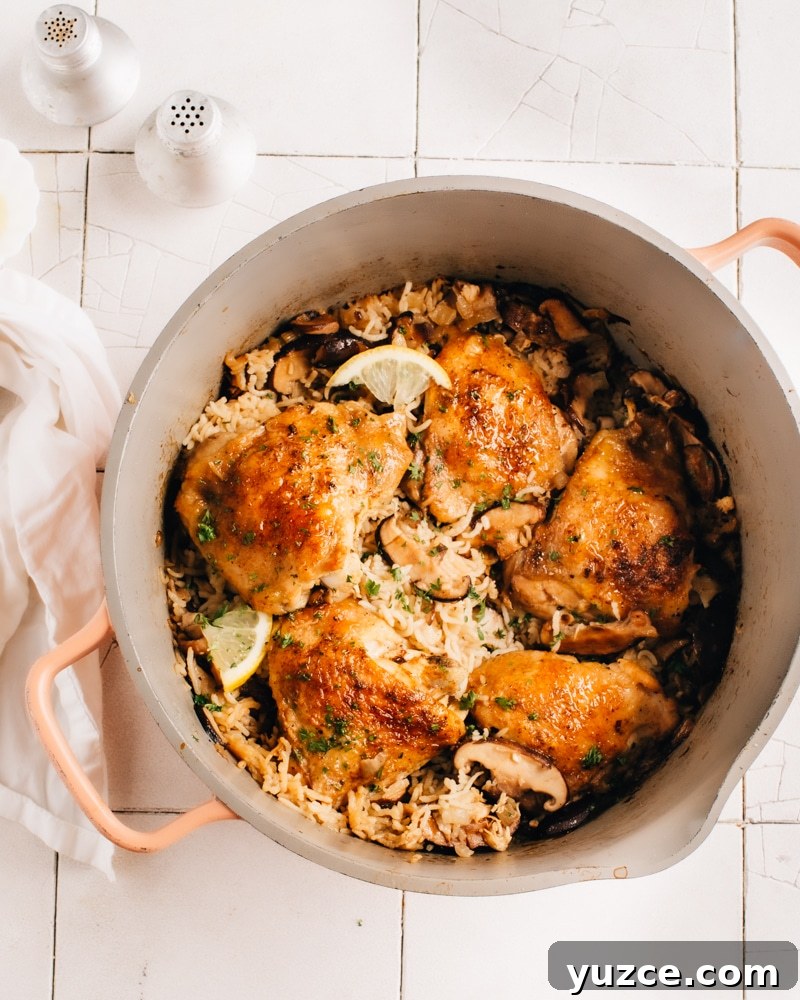 Oven-baked chicken and rice with lemon and mushrooms