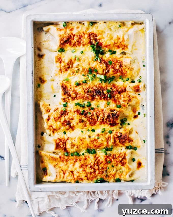 Chicken enchilada bake