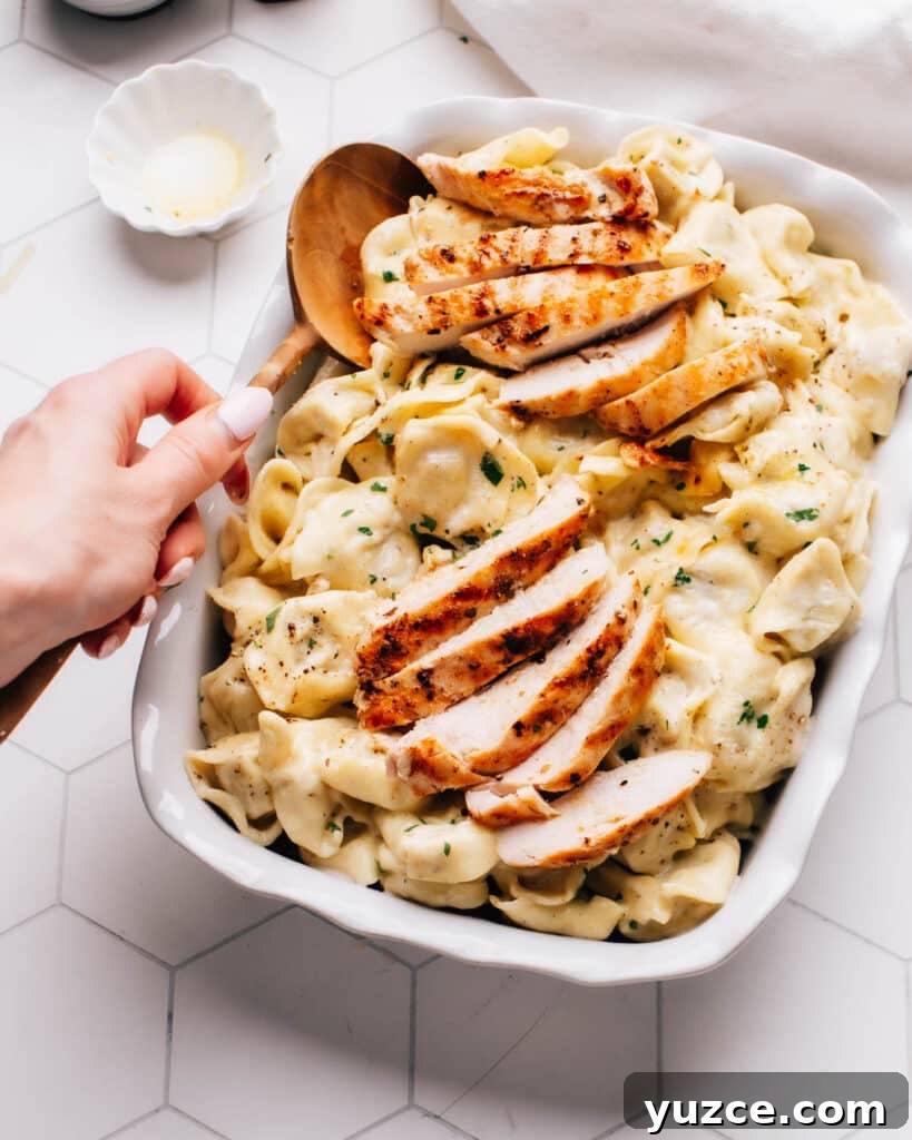 Asiago Tortelloni Alfredo with Grilled Chicken