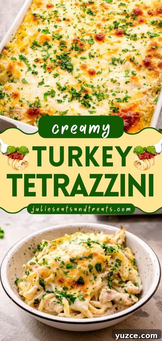 Turkey Tetrazzini