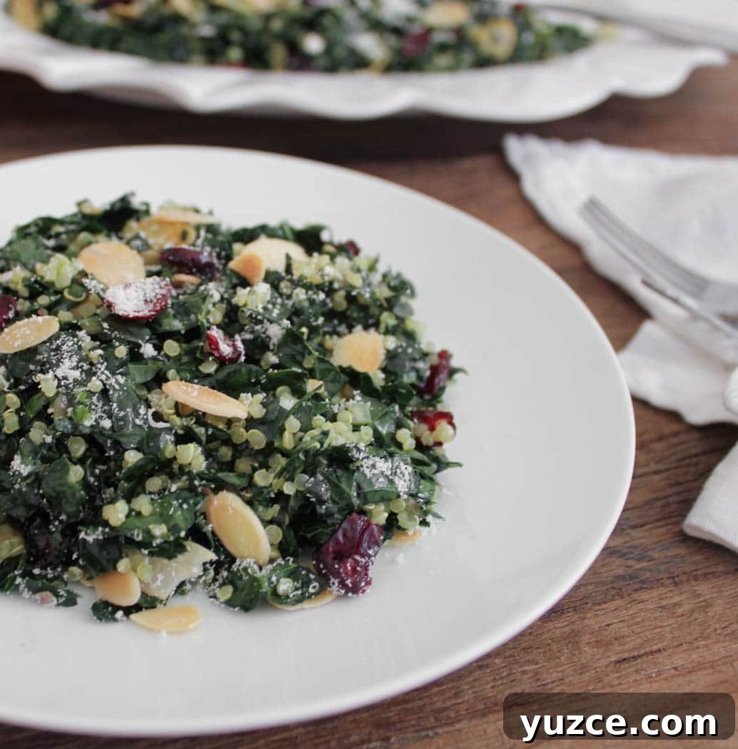 kale-salad-with-quinoa-cranberries-and-toasted-almonds-47