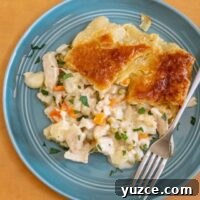 Patchwork Puff Pastry Chicken Pot Pie with Golden Crust 2 chicken pot pie serving on a plate