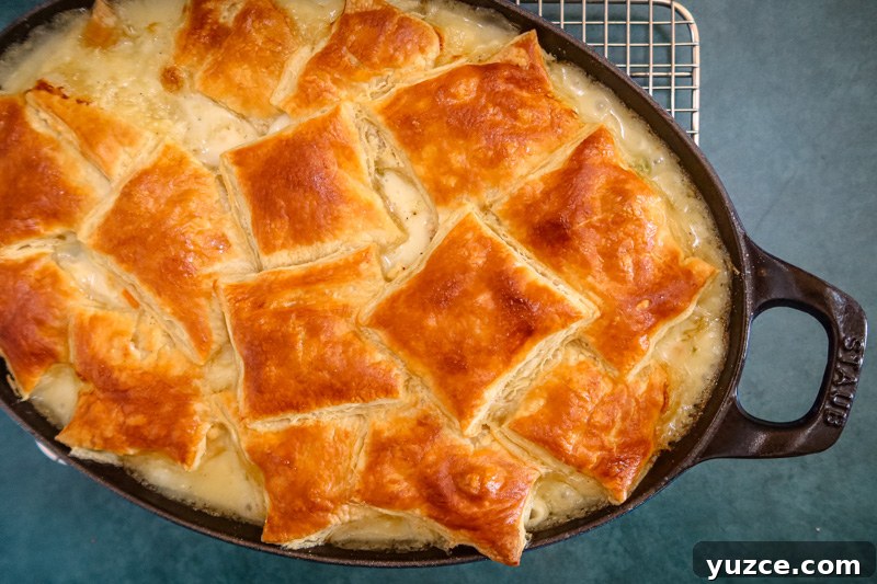Patchwork Puff Pastry Chicken Pot Pie with Golden Crust 7 Chicken pot pie with golden brown patch topping.
