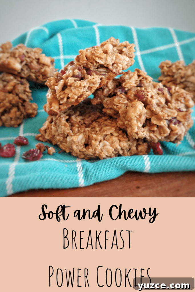 Soft, Chewy Breakfast Protein Cookies for Morning Energy 2 img 332 1