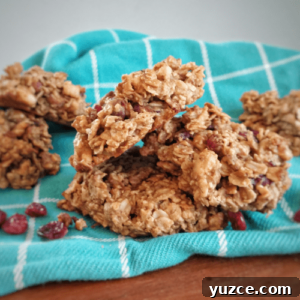 Soft, Chewy Breakfast Protein Cookies for Morning Energy 4 img 332 3