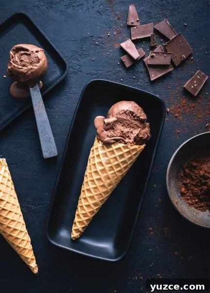 Decadent Dark Chocolate Gelato Recipe — Creamy Italian Dessert 3 2 rectangular plates with scoops of dark chocolate gelato, one on a scoop and one in a cone, surrounded by squares of dark chocolate and a bowl of cocoa.
