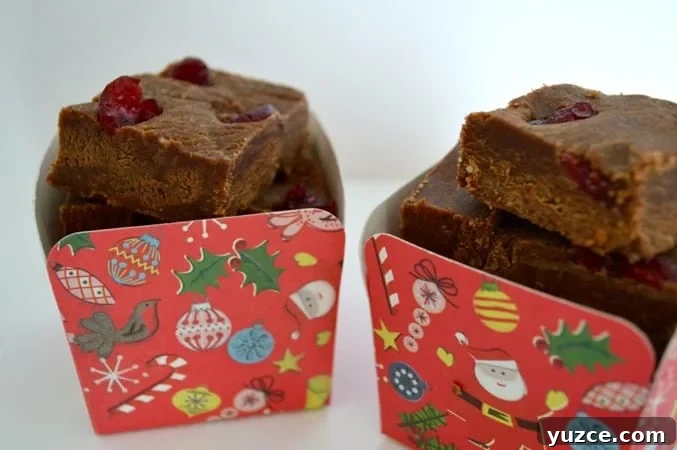 10 Festive Gluten- and Dairy-Free Christmas Recipes 4 Christmas Fudge