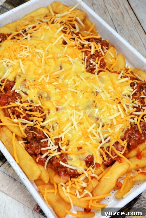 Chili Cheese Fries Recipe: Loaded Fries with Spicy Beef and Melted Cheese 4 cajun double fried french fries topped with chili and cheese.