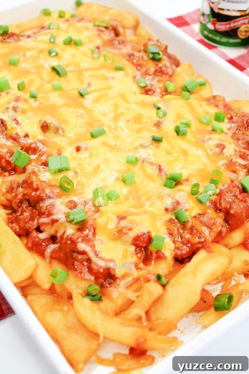 Chili Cheese Fries Recipe: Loaded Fries with Spicy Beef and Melted Cheese 5 a large plate of cajun chili cheese fries garnished with green onions.