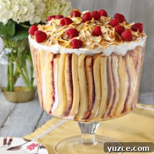 Hazelnut Meringue Cake Recipe with Crispy Layers and Creamy Filling 3 Close up of a Raspberry Lemon Meringue Trifle.