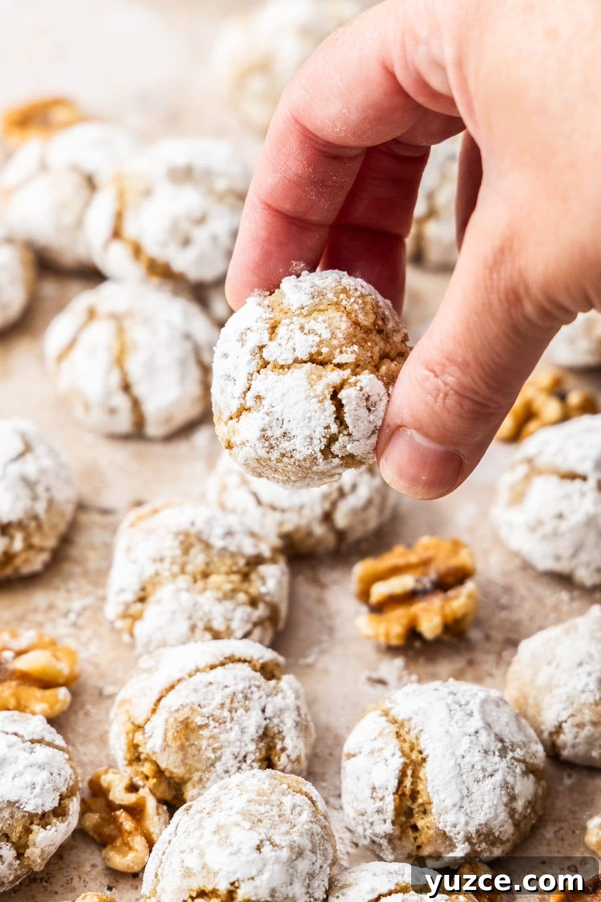 Gluten-Free Walnut Cookie Recipe — Crunchy Homemade Treat 2 A hand picking up a Walnut Cookie with some more cookies sitting on some baking paper.