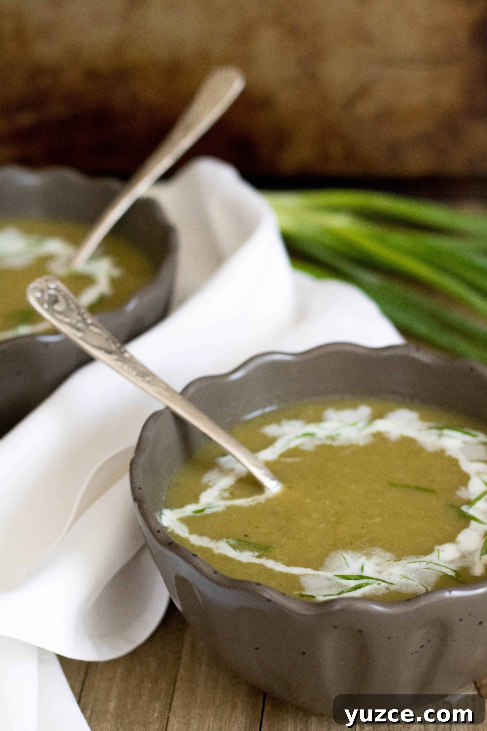 Creamy 4-Ingredient Zucchini Soup Recipe 2 Mexican squash soup