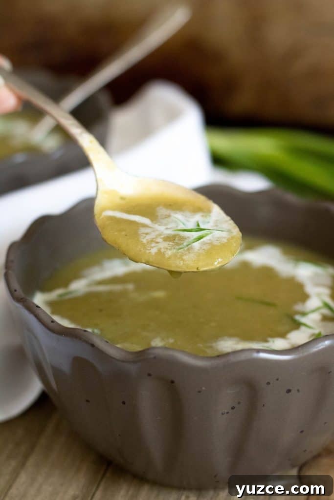 Creamy 4-Ingredient Zucchini Soup Recipe 5 Mexican squash soup