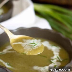 Creamy 4-Ingredient Zucchini Soup Recipe 6 Mexican squash soup