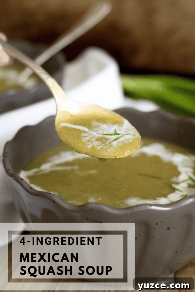 Creamy 4-Ingredient Zucchini Soup Recipe 8 MExican squash soup