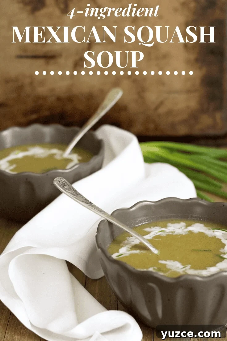 Creamy 4-Ingredient Zucchini Soup Recipe 9 img 3671 9