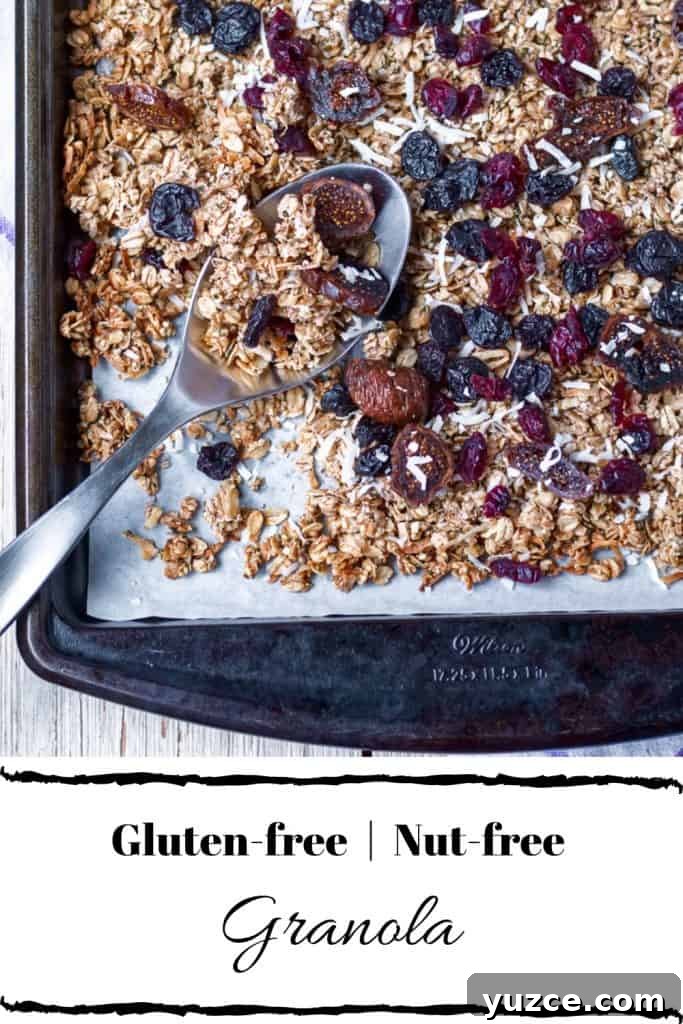Gluten-Free Nut-Free Granola Recipe for Crunchy Morning Oats 6 Easy Gluten-free, Nut-Free Granola