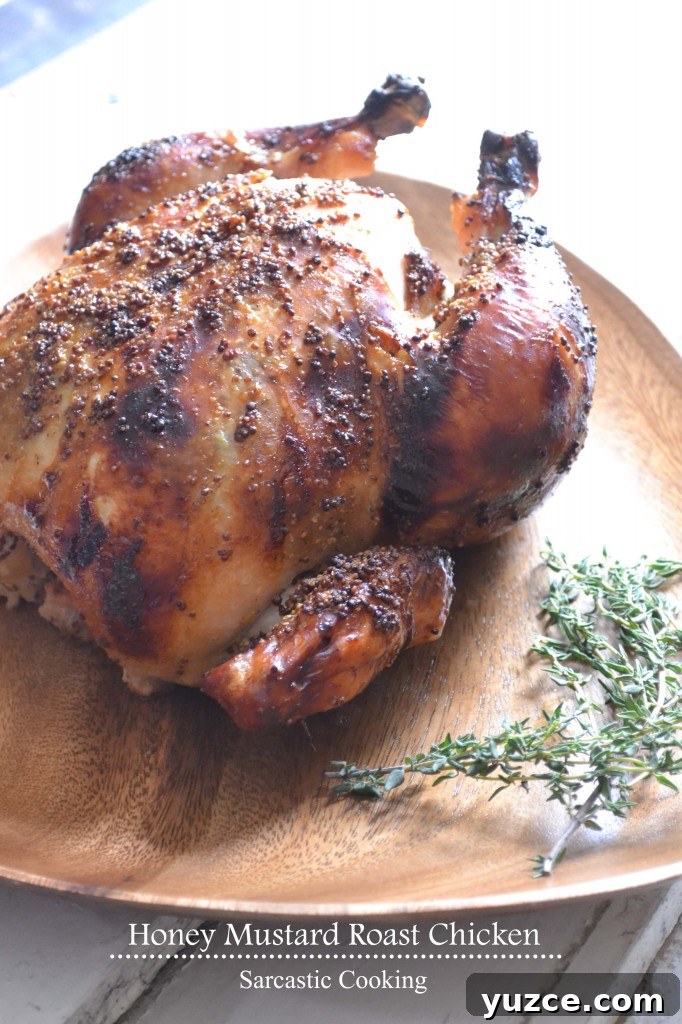 Honey Mustard Roast Chicken - Sarcastic Cooking img 3750 1