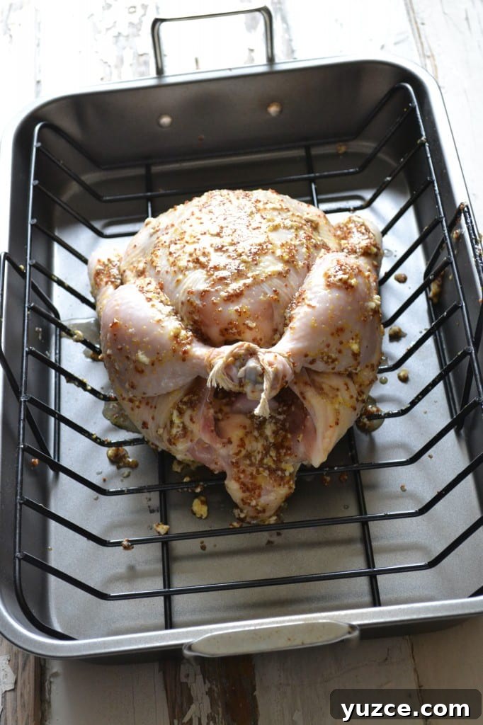 Tie chicken legs together and tuck wings under. img 3750 3