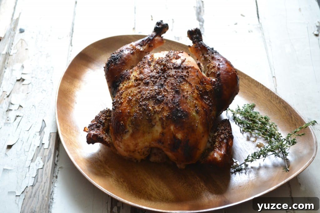 Honey Mustard Roast Chicken - Sarcastic Cooking img 3750 8