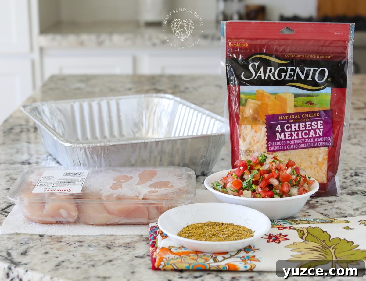 Pico de Gallo Chicken with Fresh Tomato Salsa 4 Ingredients