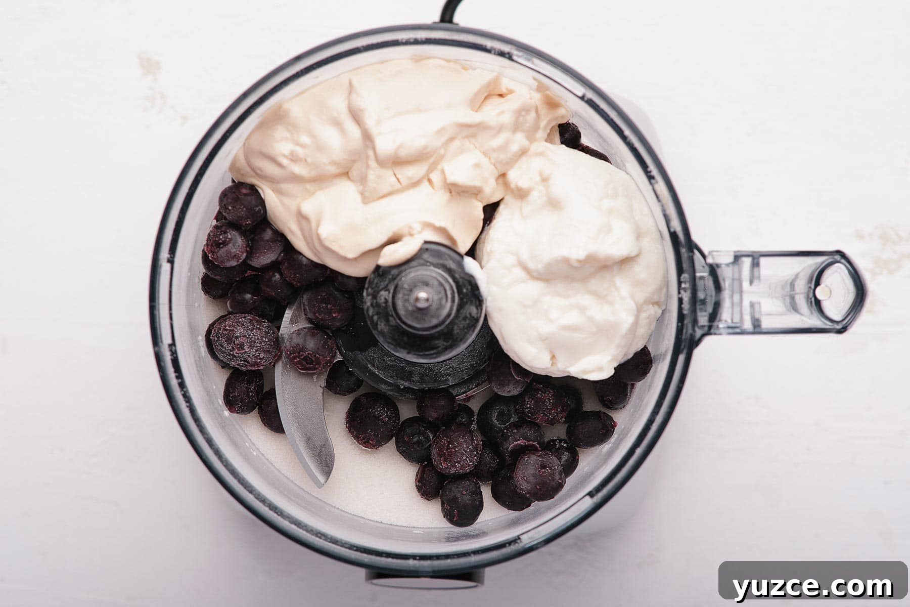 Blueberry Sherbet Recipe: Refreshing Homemade Frozen Treat 11 Blueberries, yogurt, and heavy cream in a food processor bowl.