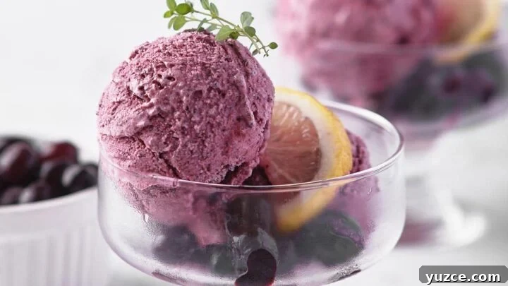 Two glass bowls of blueberry sherbet with lemon and thyme sprig.