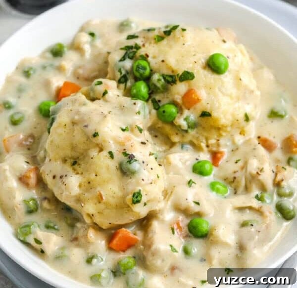13 Irresistible Chicken Recipes to Make Tonight 12 Bisquick Chicken And Dumplings