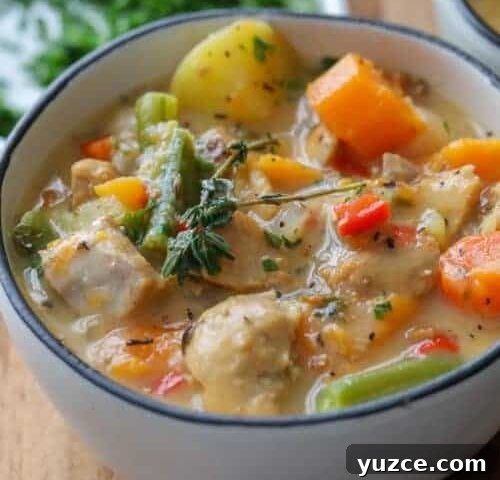 13 Irresistible Chicken Recipes to Make Tonight 10 Chicken Stew