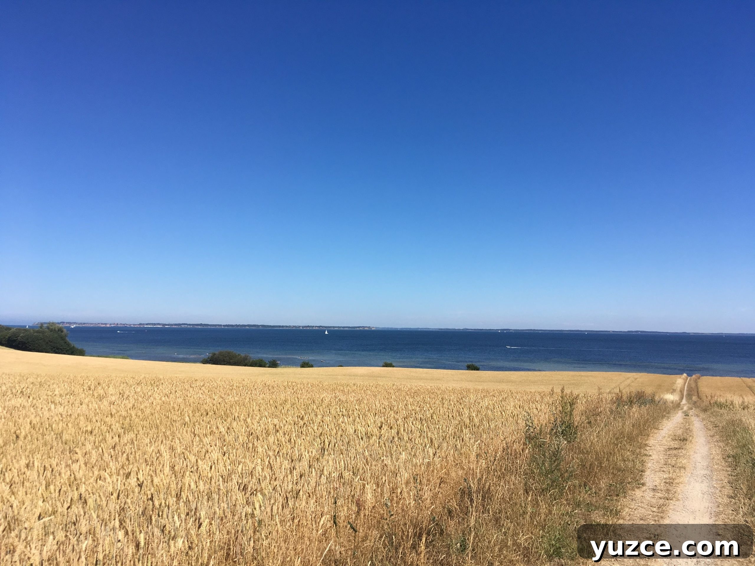 Embrace Hygge Year-Round: Cozy Living Beyond Winter 6 A beach in Denmark.
