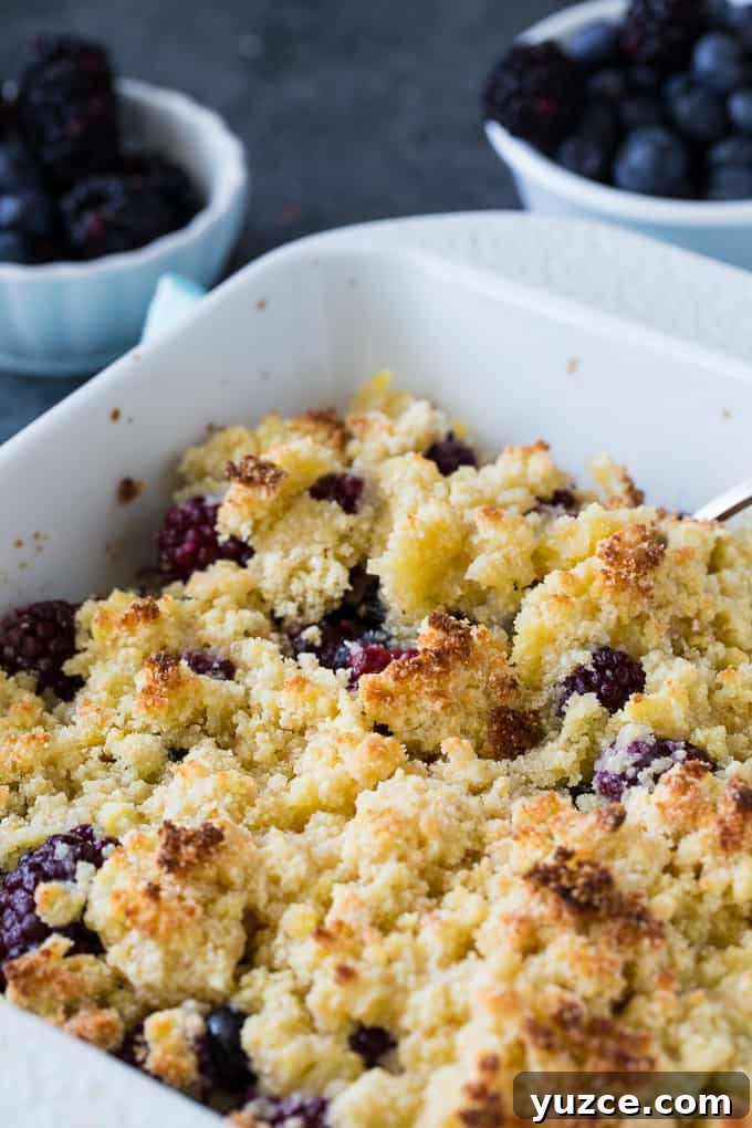 Low-Carb Blackberry and Blueberry Cobbler Recipe 3 Low Carb Blackberry Blueberry Cobbler is a delicious sugar-free summer dessert.
