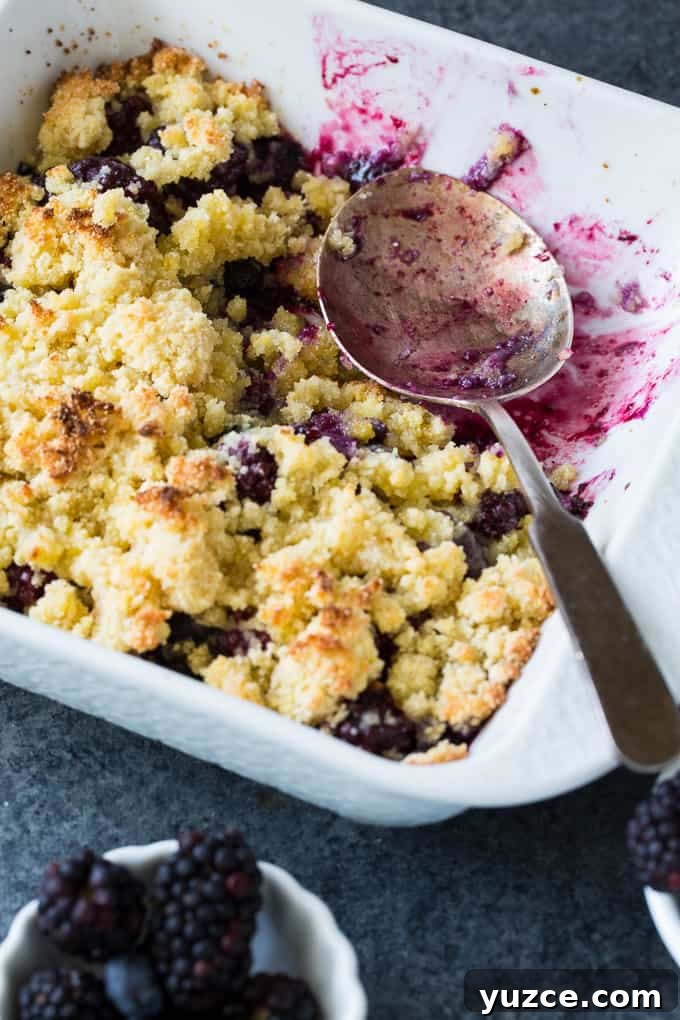 Low-Carb Blackberry and Blueberry Cobbler Recipe 5 Low Carb Blackberry Blueberry Cobbler