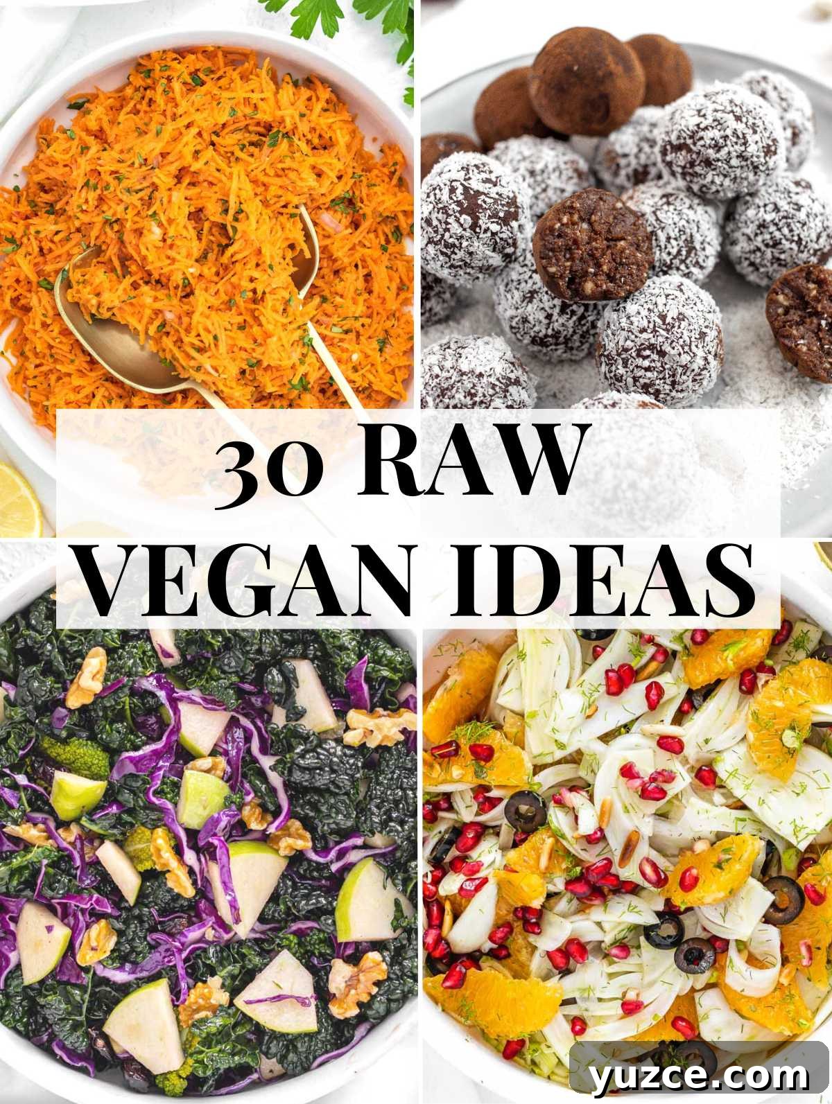 raw vegan recipes including bliss balls and salads
