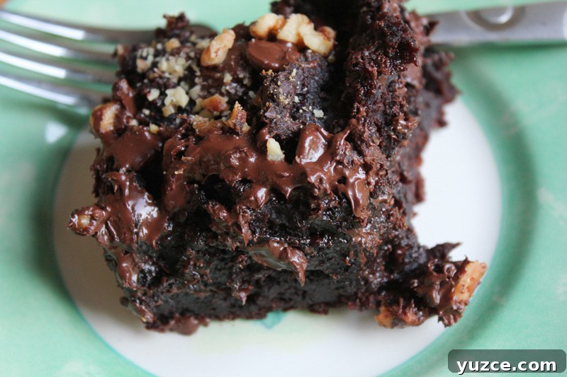 Easy Chocolate Camping Cake Easy Chocolate Camping Cake