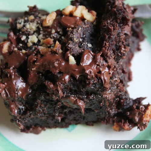 Easy Chocolate Camping Cake