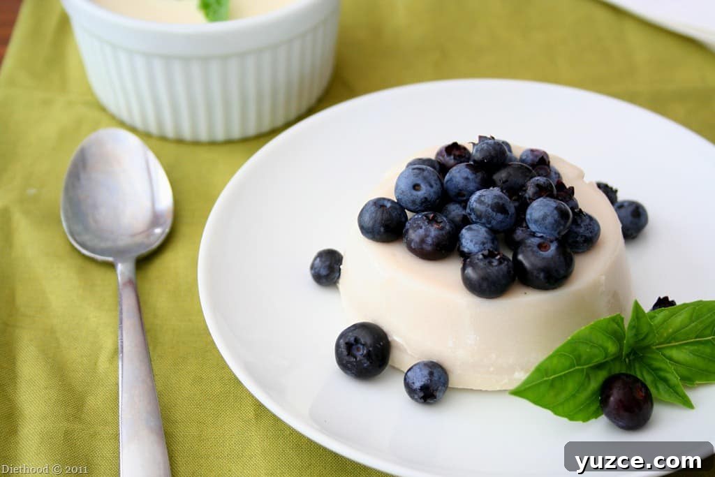 This easy panna cotta recipe is a creamy, custard-like dessert made with milk, cream, and gelatin. It's a quick, no-bake treat that’s perfect to make ahead. Sweet Basil Panna Cotta topped with blueberries.