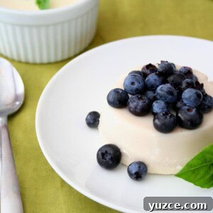 Silky Vanilla Panna Cotta Recipe: Creamy Dessert in Minutes 2 Sweet Basil Panna Cotta topped with blueberries.