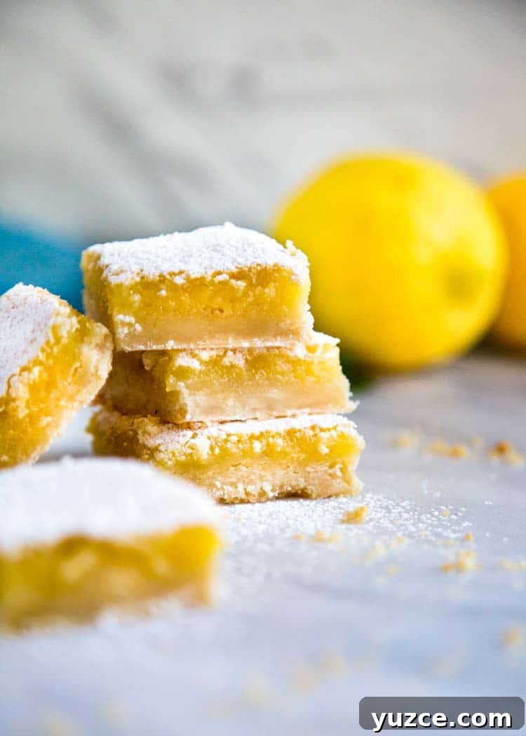 Shortbread Lemon Bars Shortbread Lemon Bars close-up