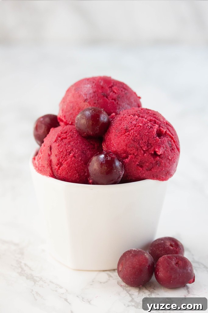 Cherry Frozen Yogurt Recipe: Creamy No-Churn Dessert 2 frozen yogurt with cherries