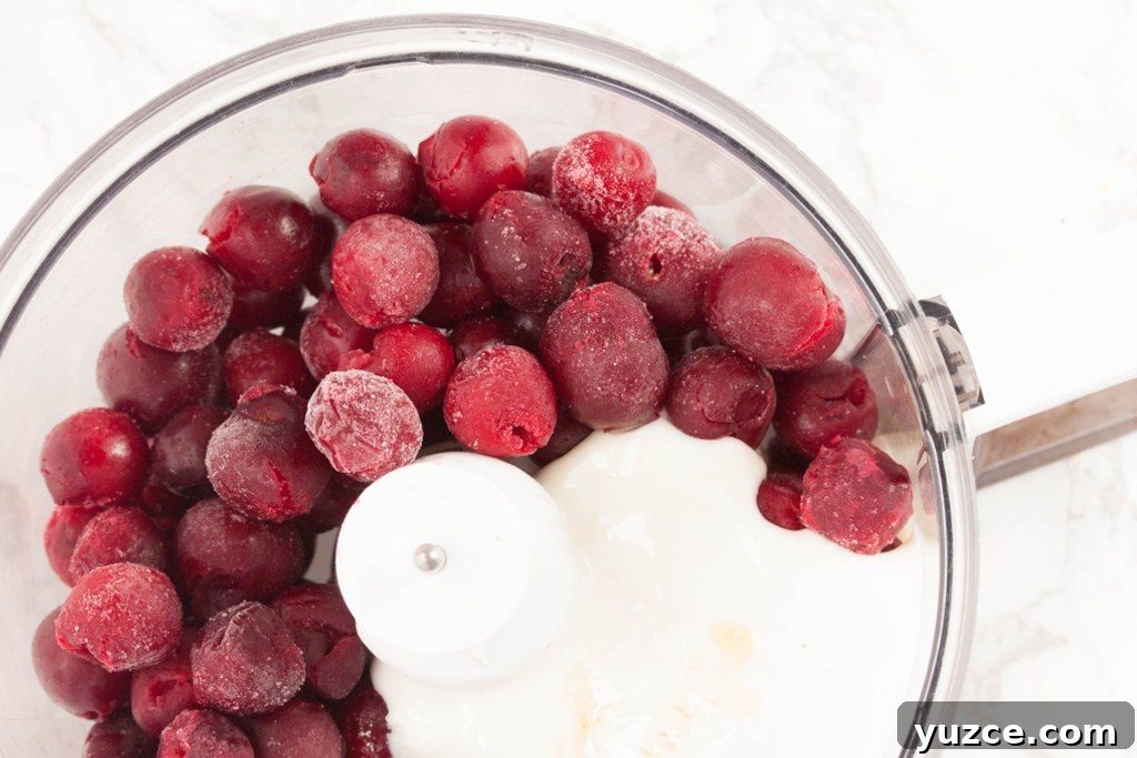 Cherry Frozen Yogurt Recipe: Creamy No-Churn Dessert 3 frozen yogurt with cherries