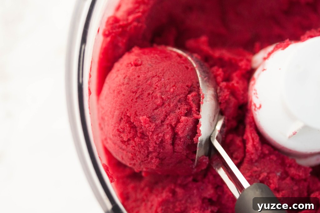Cherry Frozen Yogurt Recipe: Creamy No-Churn Dessert 4 frozen yogurt with cherries