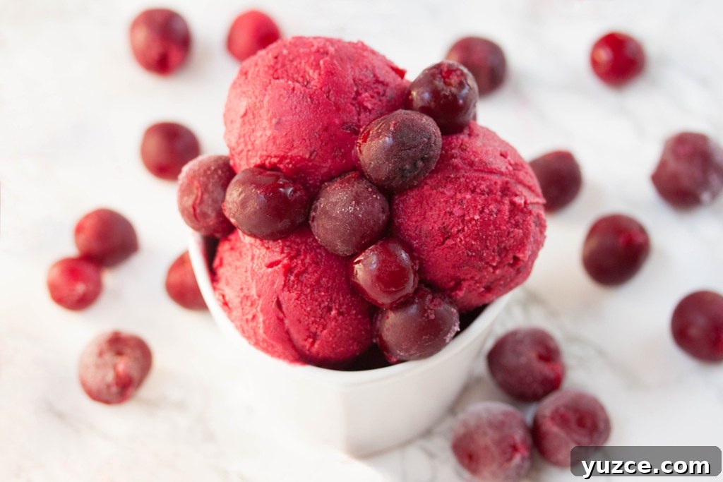 Cherry Frozen Yogurt Recipe: Creamy No-Churn Dessert 5 frozen yogurt with cherries