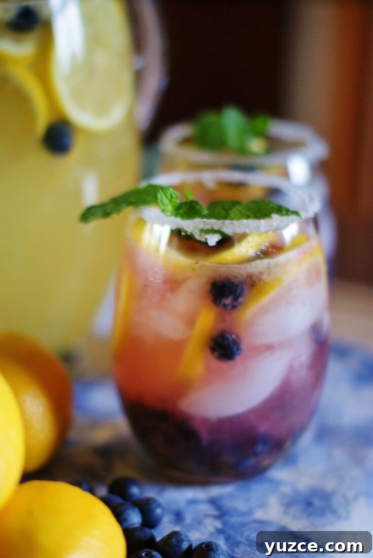 Sugared glasses filled with lavender colored lemonade, garnished with blueberries and lemon slices.