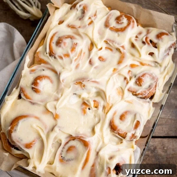 Overhead square image of 12 cinnamon rolls in a baking dish, topped with cream cheese frosting.