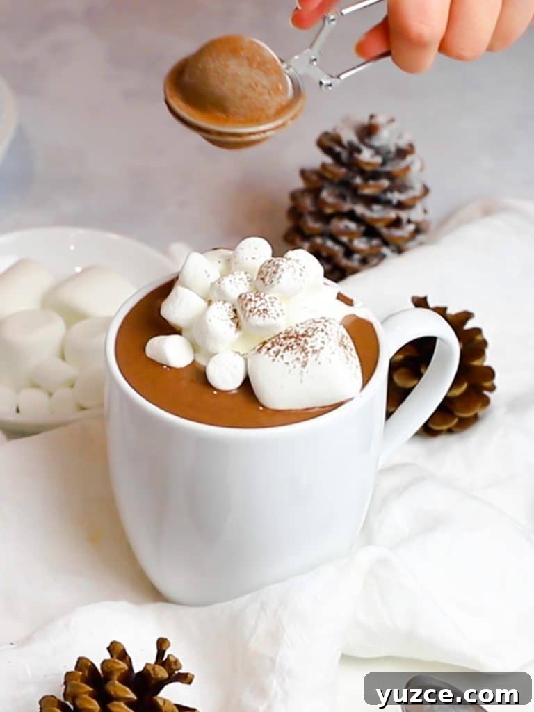 Decadent Homemade Hot Chocolate Recipe — Rich, Creamy & Velvety 19 rich and creamy hot chocolate with marshmallows dusted with cocoa powder